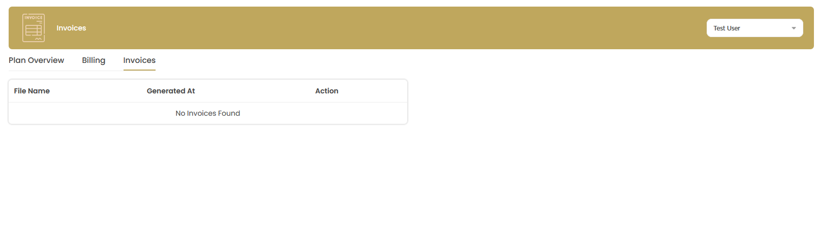 Invoices Management Interface