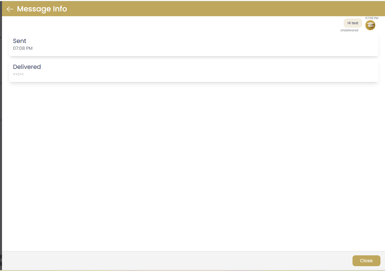 Message Status and Delivery Information